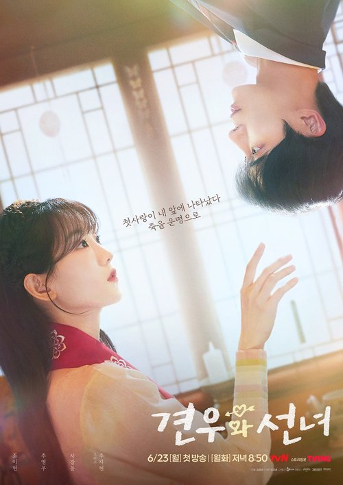 Head Over Heels poster