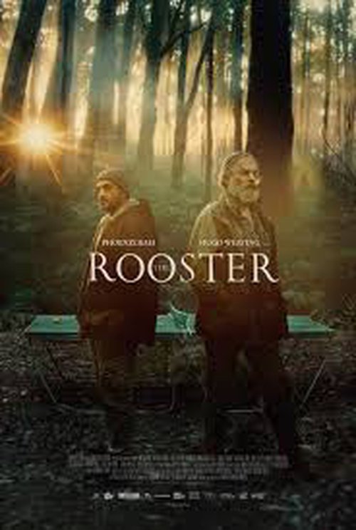 Rooster poster