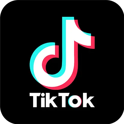 TikTok Icon